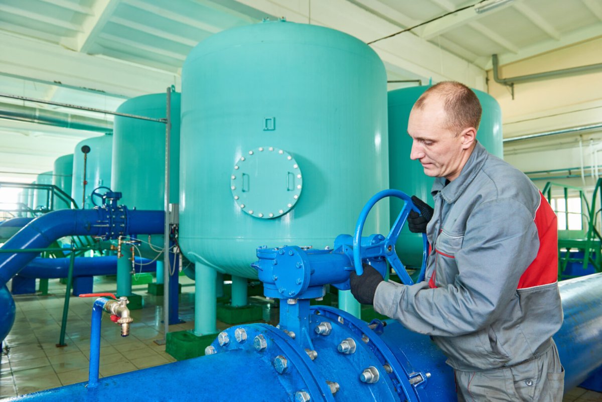 Eco-Friendly and Cost-Efficient Walnut Shells for Superior Water Filtration