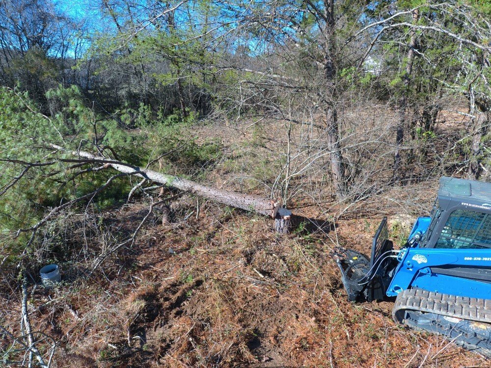 Blue Diamond® High - Performance Tree Shearing Tool for Efficient Tree Cutting